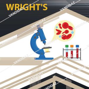 فروش رنگ رایت