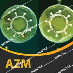 دیسک آزیترومایسین ( AZM )