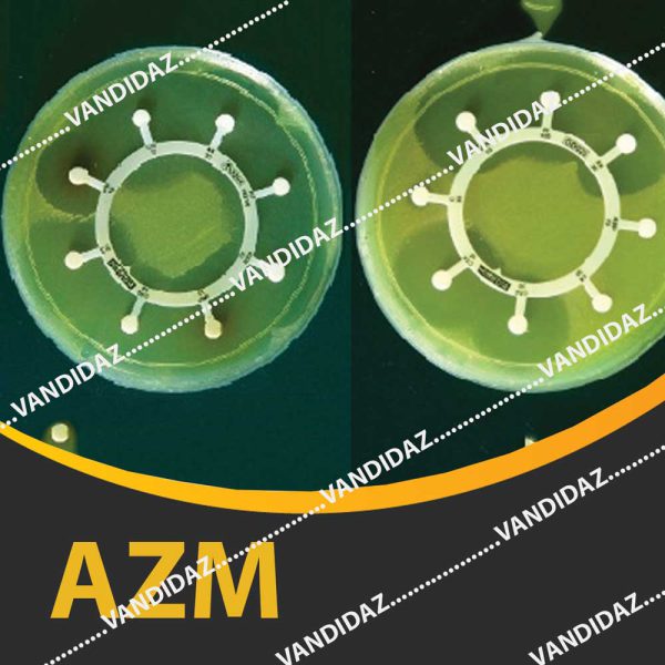 فروش دیسک آزیترومایسین ( AZM )