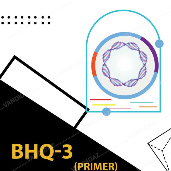 فروش پرایمر BHQ-3