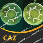 دیسک سفتازیدیم ( CAZ )