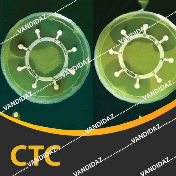 فروش دیسک سفوتاکسیم کلاولانیک اسید ( CTC )