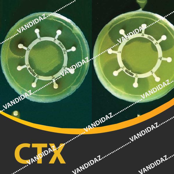 فروش دیسک سفوتاکسیم ( CTX )
