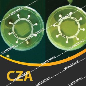 فروش دیسک سفتازیدیم کلاولانیک اسید ( CZA )