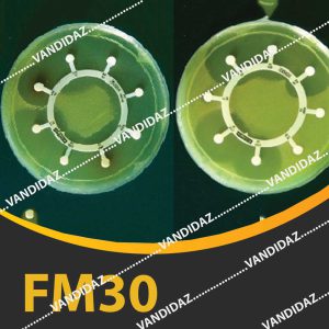 فروش دیسک فلومکوئین ( FM30 )