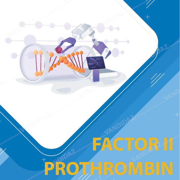 فروش کیت تشخیص Factor-II-Prothrombin