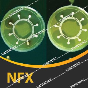 فروش دیسک انروفلوکساسین ( NFX )