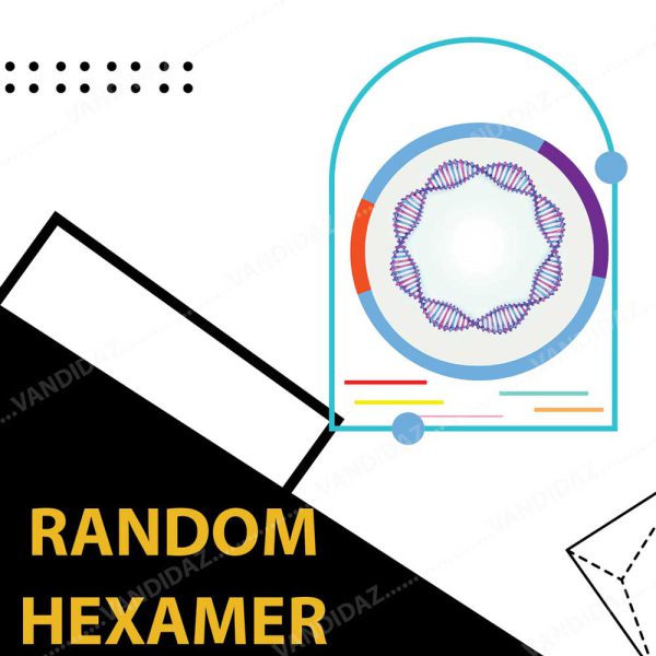 فروش پرایمر Random Hexamer