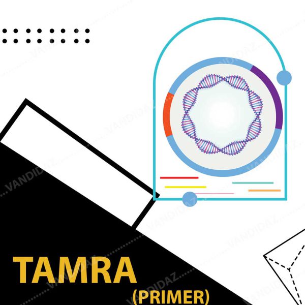 فروش پرایمر TAMRA
