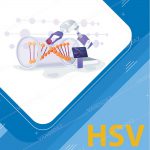 کیت تشخیص HSV
