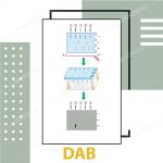 پودر DAB