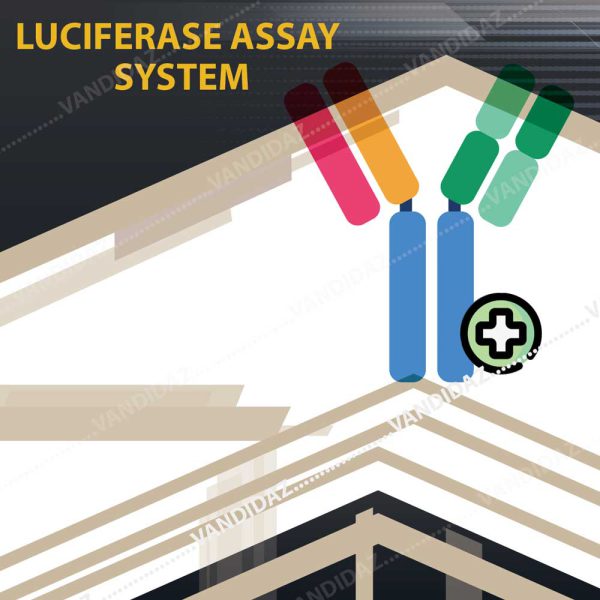 فروش Luciferase assay system