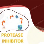 مهارکننده پروتئاز