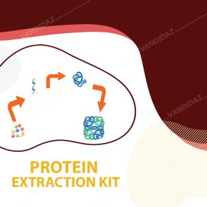فروش کیت استخراج پروتئین