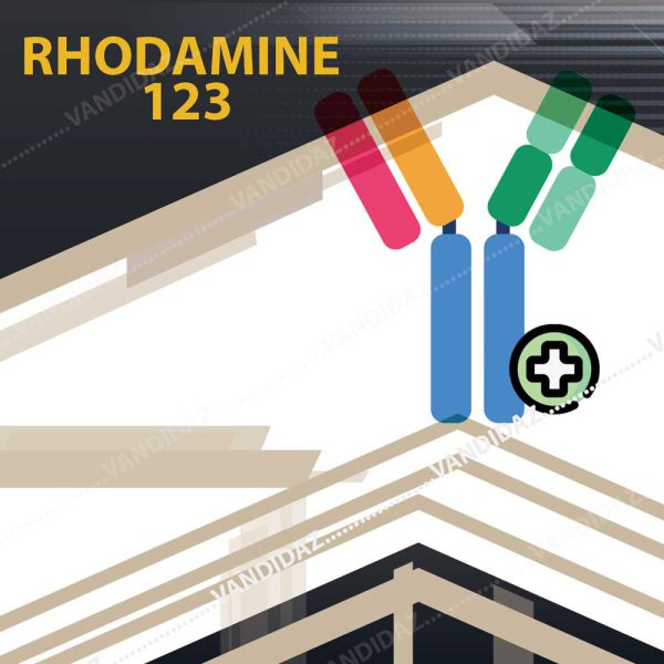 فروش رودامین Rhodamine 123