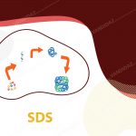 سدیم دودسیل سولفات (SDS)