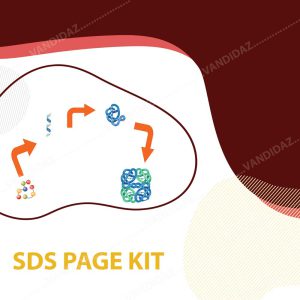 فروش کيت SDS-PAGE