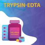 تریپسین – EDTA