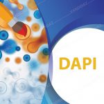 رنگ DAPI