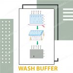 بافر شستشو (1x) Wash Buffer