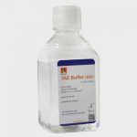 بافر TAE-50X ایده زیست