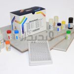 کیت الایزا HE4