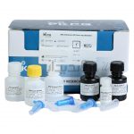 کیت استخراج ستونی DNA از باکتری های رده مایکوباکتریوم