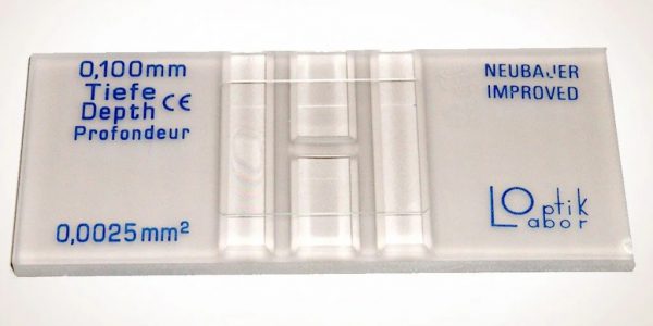 counting-chember-hemocytometer
